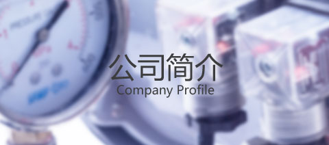 企業(yè)簡(jiǎn)介
